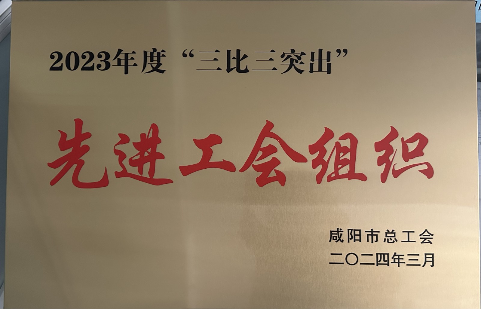 1711618018425291.jpg 微信图片_20240328160426_副本.jpg